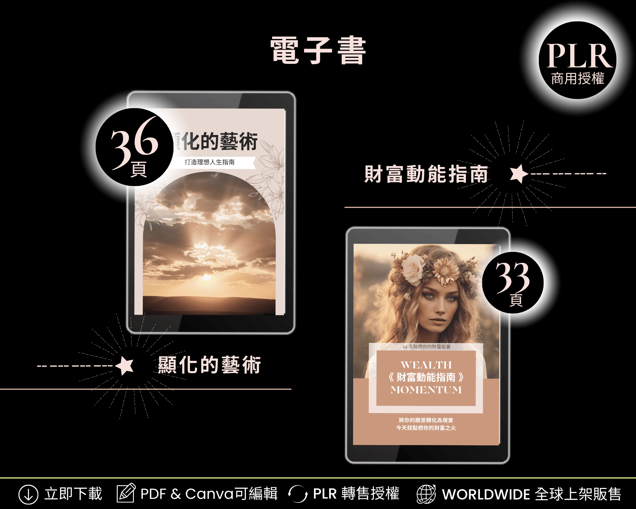 Manifestation Bundle (Chinese Edition | PLR License)