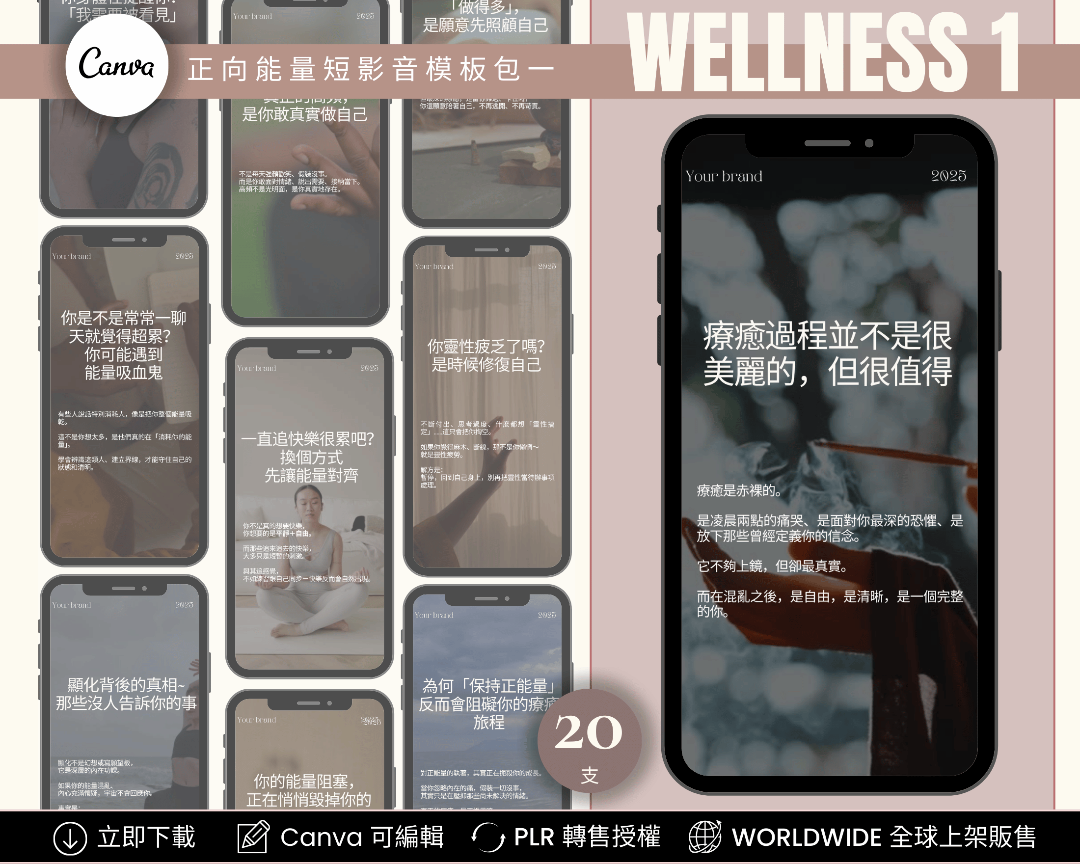 Wellness Instagram Reels Templates Chinese Edition – IG Reels preview with PLR license and editable captions in Canva for spiritual and coaching brands
