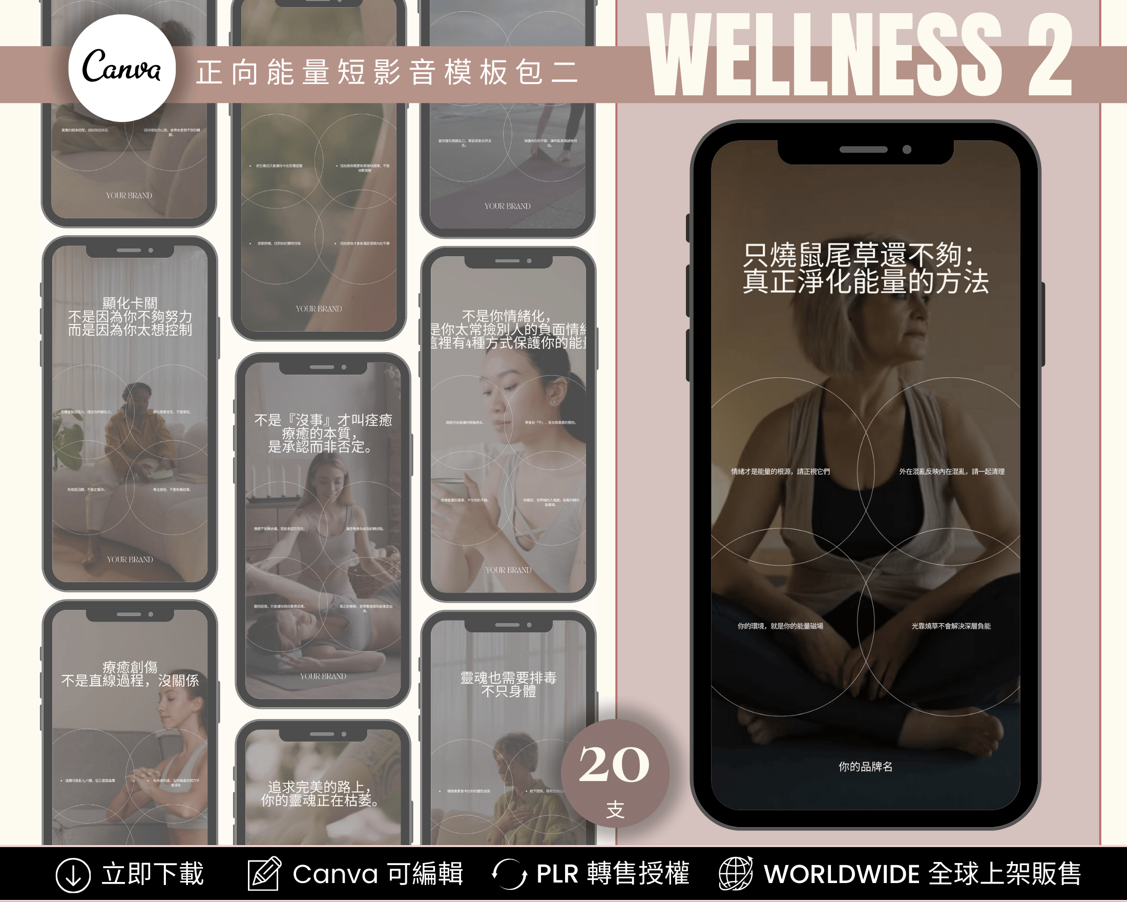 Wellness Instagram Reels Templates Chinese Edition – IG Reels preview with PLR license and editable captions in Canva for spiritual and coaching brands